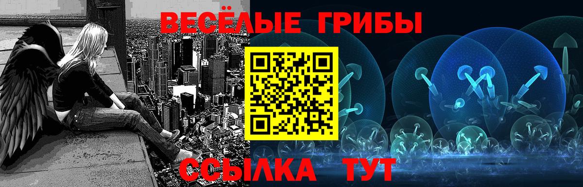 Галлюциногенные грибы GOLDEN TEACHER  Псилоцибиновые грибы мухоморы  Вход с VPN  где купить наркоту  Волгоград 