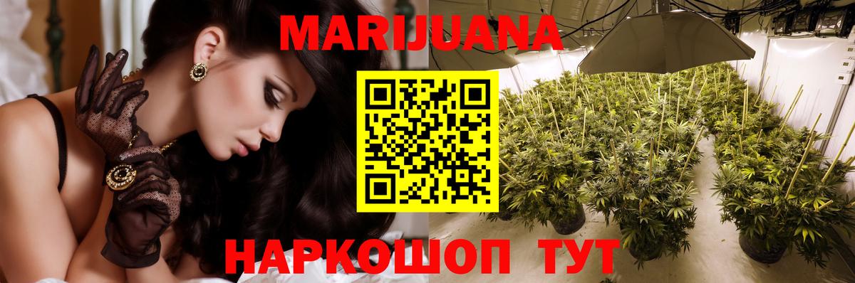 Канабис конопля  Бошки Шишки White Widow  Марихуана OG Kush  Волгоград  Конопля гибрид  Вход с VPN 